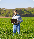 Agriculture